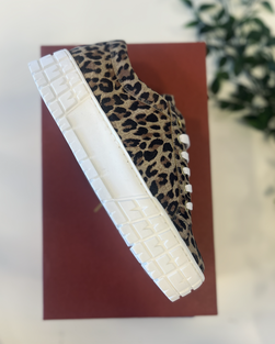 Kasama Moreda Leopard - KMB