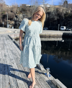 Ana Dress Dusty Mint - A-view